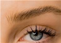 LAMINADO DE CEJAS